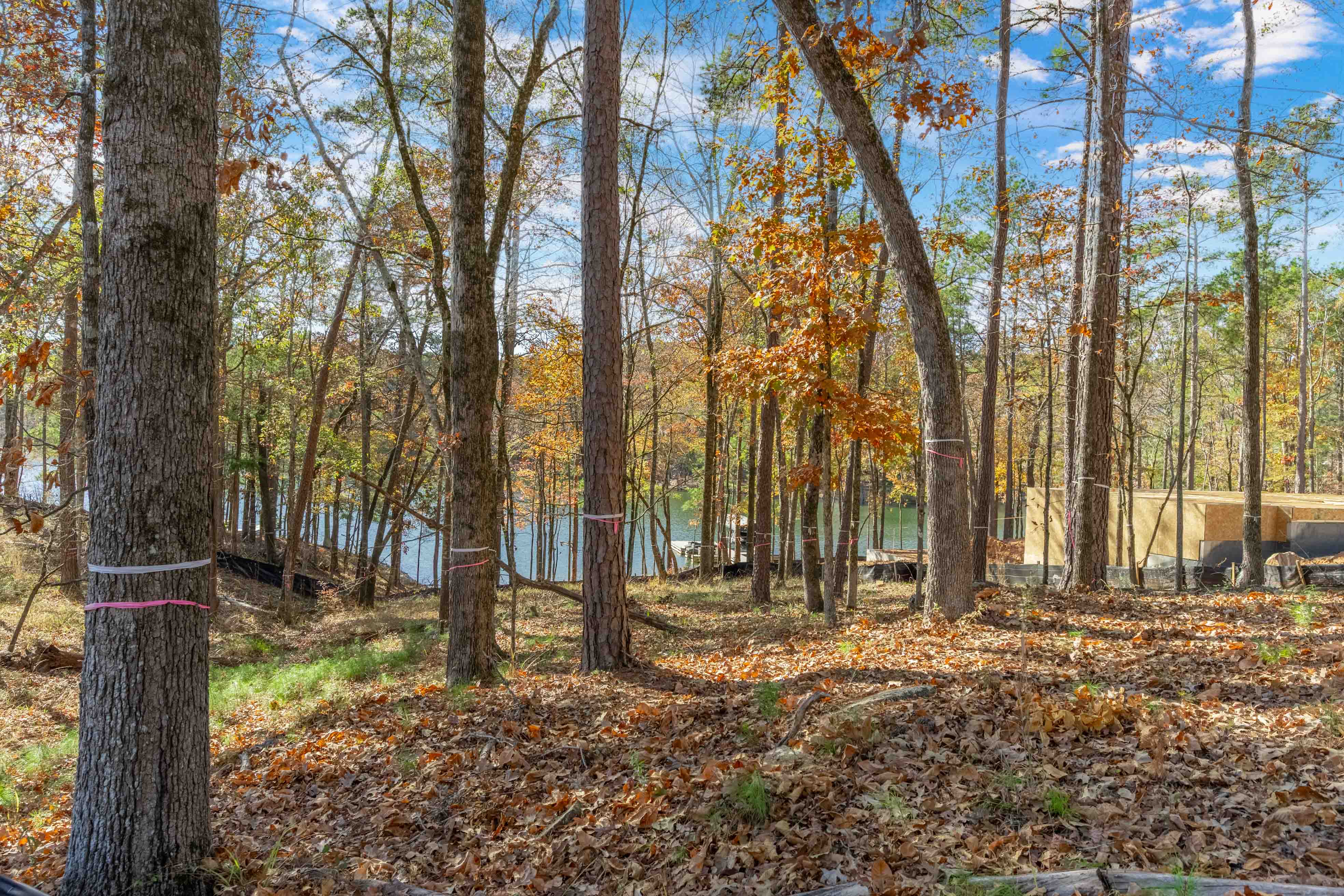 1077 Painted Bunting Drive image 8